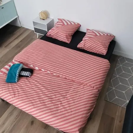 Le Nakai , Petit Sympa, Plein Centre-ville Apartment Monistrol-sur-Loire